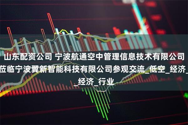 山东配资公司 宁波航通空中管理信息技术有限公司领导莅临宁波翼新智能科技有限公司参观交流_低空_经济_行业