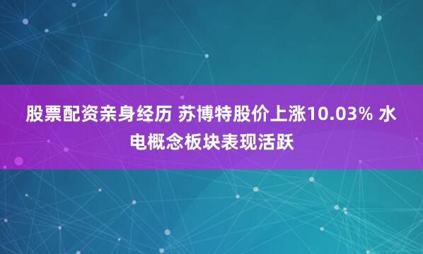 股票配资亲身经历 苏博特股价上涨10.03% 水电概念板块表现活跃