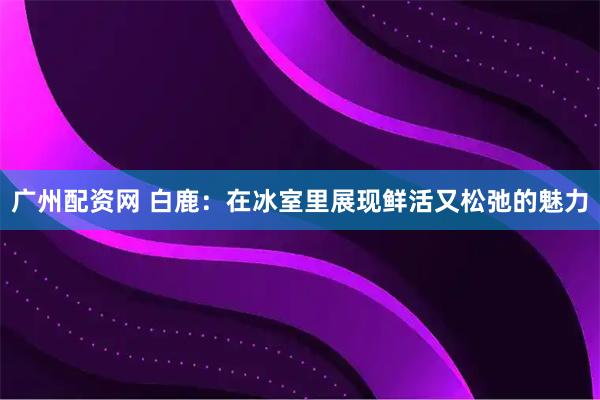广州配资网 白鹿：在冰室里展现鲜活又松弛的魅力